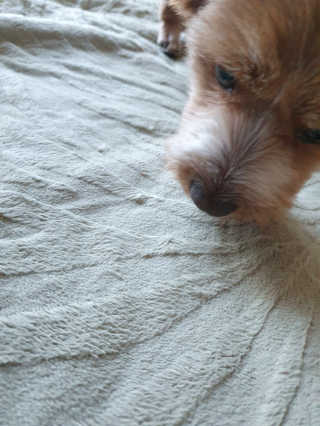 유먀님이 올린 리뷰 사진 3