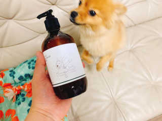 이대현님이 올린 리뷰 사진 2