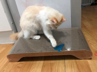 JungheeKim님이 올린 리뷰 사진 1