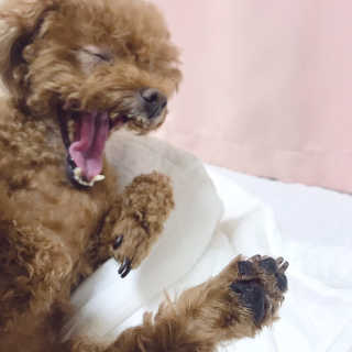 단비비비빕님이 올린 리뷰 사진 4