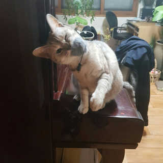 지혴님이 올린 리뷰 사진 1
