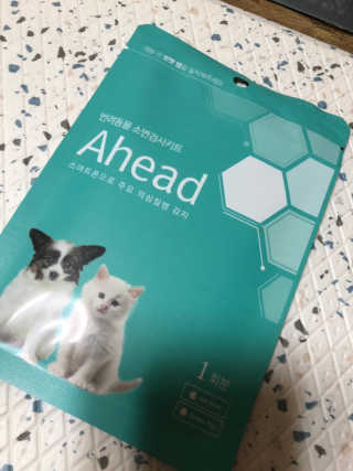 초코도깅님이 올린 리뷰 사진 1