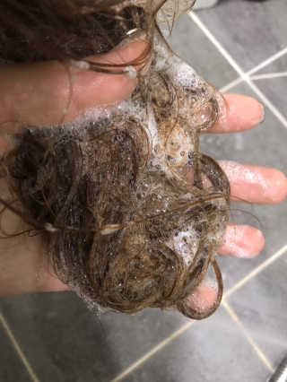 동호맘님이 올린 리뷰 사진 2