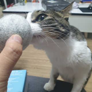 요정요정님이 올린 리뷰 사진 3