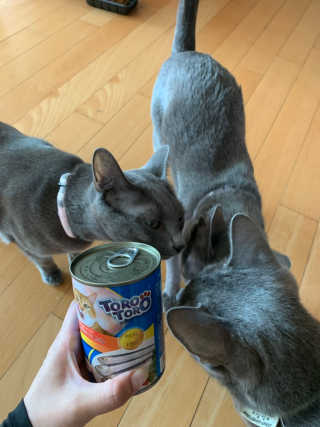 김꽁꽁님이 올린 리뷰 사진 1