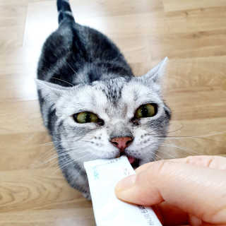 제니언니님이 올린 리뷰 사진 3