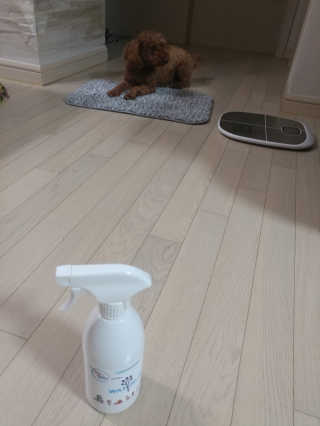 상준님이 올린 리뷰 사진 2