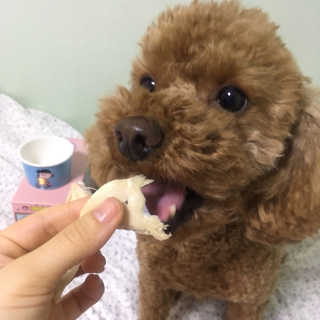 겸재니님이 올린 리뷰 사진 2