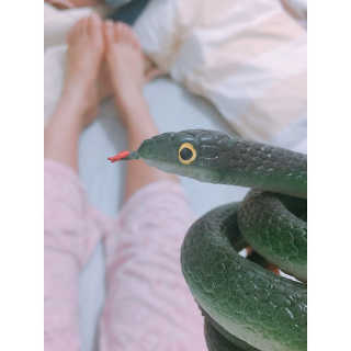 쏘뜬님이 올린 리뷰 사진 2