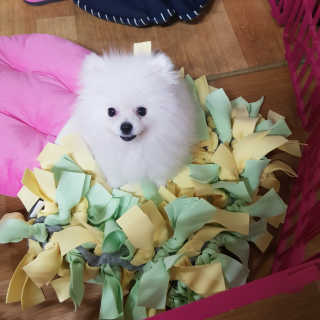김한솔님이 올린 리뷰 사진 2