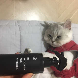 PEACE MOMENT 피스모먼트 인세컨즈포키친 320mL 천연살균소독제 — 5점을 준 리뷰어가 2019년 2월 올린 사용 사진
