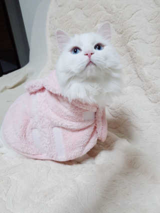 mintblue님이 올린 리뷰 사진 2
