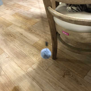한솔🙄님이 올린 리뷰 사진 3