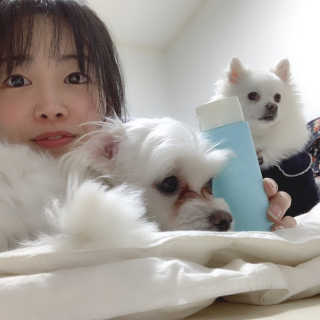 오비르님이 올린 리뷰 사진 4