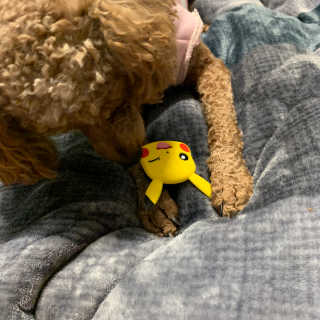 아해님이 올린 리뷰 사진 4