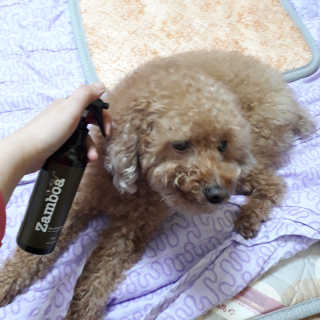 kang4824님이 올린 리뷰 사진 2
