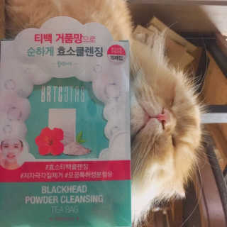 비알티씨 V10 파우더 클렌징 티백 2종 — 5점을 준 리뷰어가 2019년 2월 올린 사용 사진
