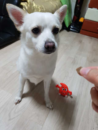 전지현님이 올린 리뷰 사진 3