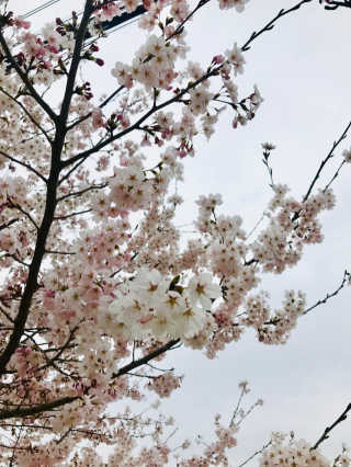 (주)쟈뎅 [쟈뎅] 에스프레소스틱 아이스블렌드 — 4.5점을 준 리뷰어가 2019년 5월 올린 사용 사진