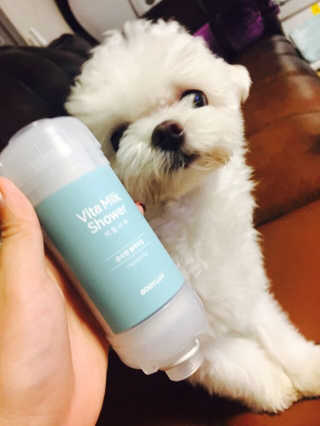 황혜빈님이 올린 리뷰 사진 1