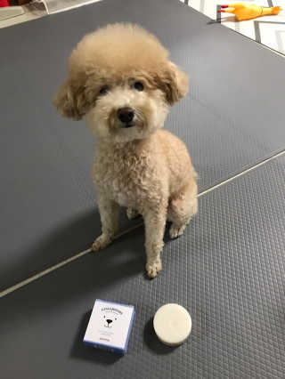 모모맘님이 올린 리뷰 사진 2