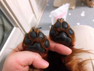 조호이님이 올린 리뷰 사진 1