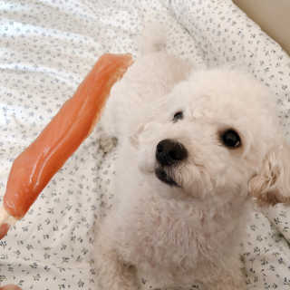 메이블님이 올린 리뷰 사진 4