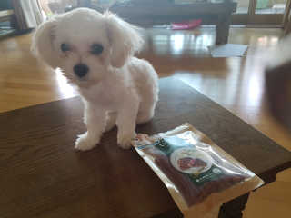 고은비님이 올린 리뷰 사진 2