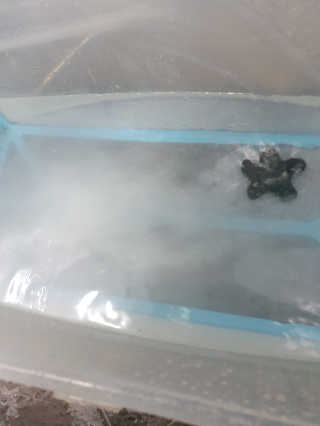 톰티님이 올린 리뷰 사진 4