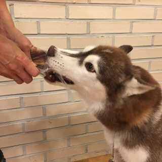 진하님이 올린 리뷰 사진 1