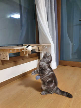 슨님이 올린 리뷰 사진 1