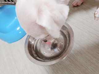 Underwater님이 올린 리뷰 사진 3