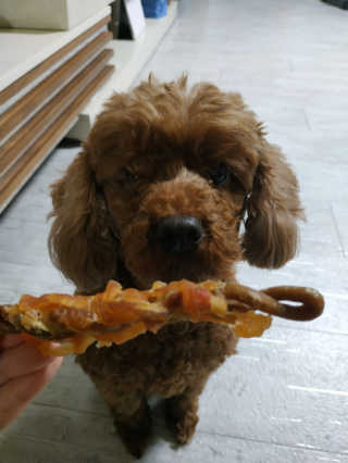 이종연님이 올린 리뷰 사진 2