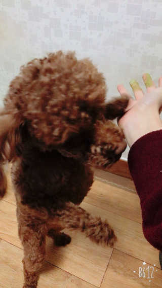 배고은님이 올린 리뷰 사진 2