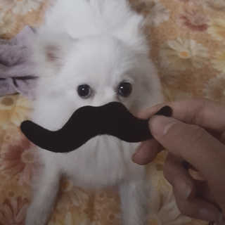 정민님이 올린 리뷰 사진 4
