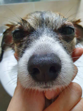 김미진님이 올린 리뷰 사진 2