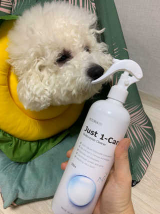 써니님이 올린 리뷰 사진 1