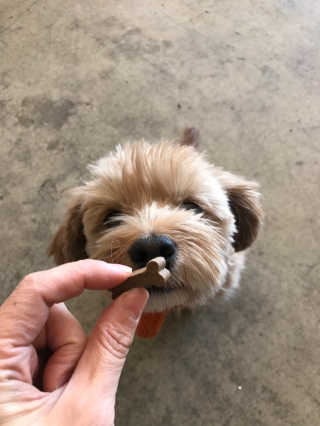 조언니님이 올린 리뷰 사진 3