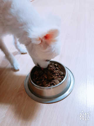 서우어멍님이 올린 리뷰 사진 4