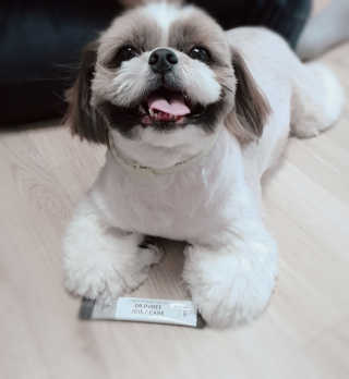 김아빈님이 올린 리뷰 사진 2