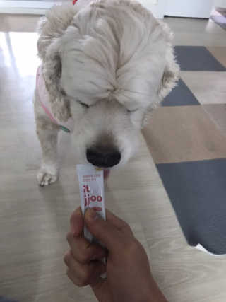 치치어뭉님이 올린 리뷰 사진 3