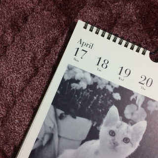 겸재니님이 올린 리뷰 사진 1