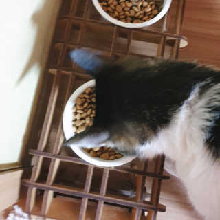 바라기님이 올린 리뷰 사진 3