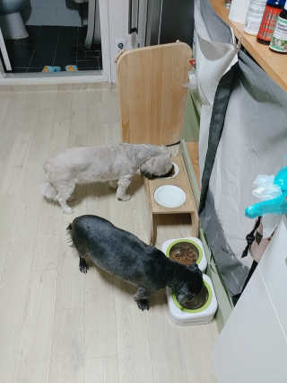 ayounne님이 올린 리뷰 사진 2