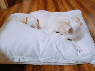 youngran님이 올린 리뷰 사진 2