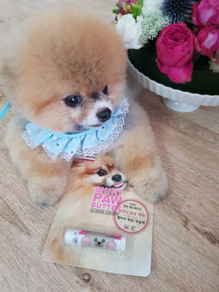 이엘리사님이 올린 리뷰 사진 2