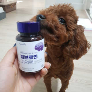 뽐님이 올린 리뷰 사진 1