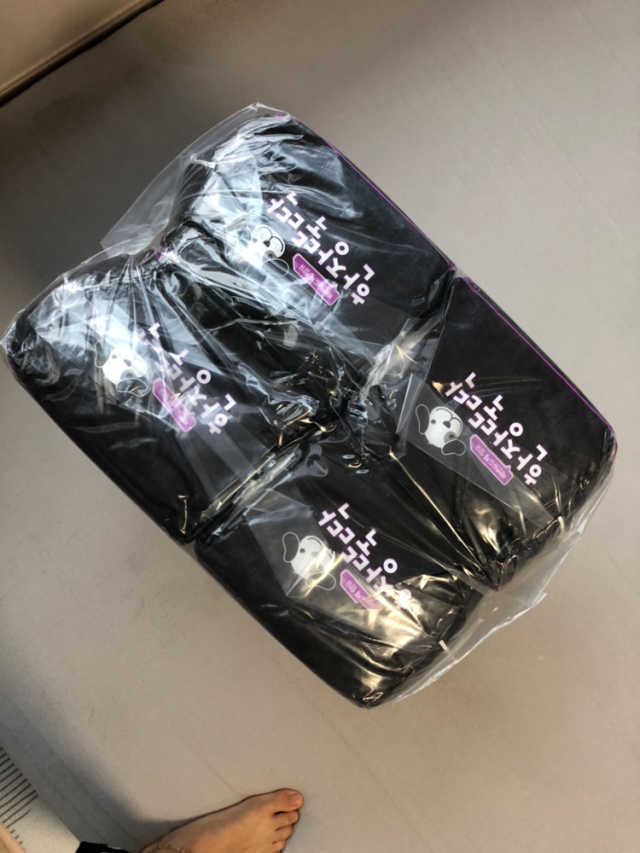 펫토리아 한장뚝딱 NEW 프리미엄 국내산 배변패드 리뷰 사진