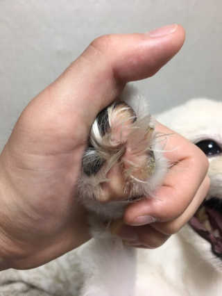 강현지님이 올린 리뷰 사진 3