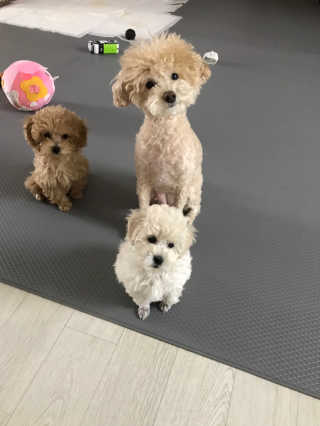 모모맘님이 올린 리뷰 사진 3